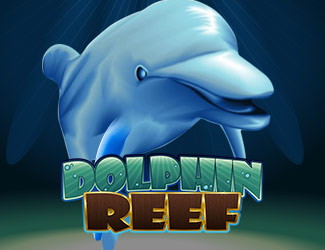 ninegames_dolphin_reef 澳门威尼斯娱乐海豚乐园